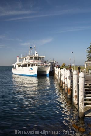 Australasia;Australia;bollard;bollards;calm;City-of-Shoalhaven;coast;coastal;coastline;coastlines;coasts;Dolphin-Watching-Boat;foreshore;Huskisson;Jervis-Bay;jetties;jetty;moored;N.S.W.;New-South-Wales;NSW;ocean;pier;piers;piles;placid;quiet;reflection;reflections;sea;serene;Shoalhaven;shore;shoreline;shorelines;shores;smooth;South-New-South-Wales;Southern-New-South-Wales;still;The-Shoalhaven;tranquil;water;waterside;Whale-Watching-Boat;wharf;wharfes;wharves