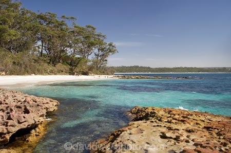 A.C.T.;ACT;aqua;aquamarine;Australasia;Australia;Australian-Capital-Territory;beach;beaches;blue;Booderee-N.P.;Booderee-National-Park;Booderee-NP;Bristol-Point;clean-water;clear-water;coast;coastal;coastline;coastlines;coasts;cobalt-blue;eucalypt;eucalypts;eucalyptus;eucalytis;foreshore;Green-Patch-Beach;Greenpatch-Beach;gum;gum-tree;gum-trees;gums;Jervis-Bay;Jervis-Bay-Territory;N.S.W.;New-South-Wales;NSW;ocean;oceans;sand;sandy;sea;seas;shore;shoreline;shorelines;shores;South-New-South-Wales;Southern-New-South-Wales;tree;trees;turquoise;water