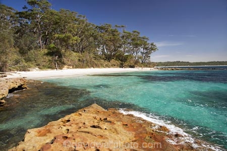 A.C.T.;ACT;aqua;aquamarine;Australasia;Australia;Australian-Capital-Territory;beach;beaches;blue;Booderee-N.P.;Booderee-National-Park;Booderee-NP;Bristol-Point;clean-water;clear-water;coast;coastal;coastline;coastlines;coasts;cobalt-blue;eucalypt;eucalypts;eucalyptus;eucalytis;foreshore;Green-Patch-Beach;Greenpatch-Beach;gum;gum-tree;gum-trees;gums;Jervis-Bay;Jervis-Bay-Territory;N.S.W.;New-South-Wales;NSW;ocean;oceans;sand;sandy;sea;seas;shore;shoreline;shorelines;shores;South-New-South-Wales;Southern-New-South-Wales;tree;trees;turquoise;water