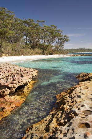 A.C.T.;ACT;aqua;aquamarine;Australasia;Australia;Australian-Capital-Territory;beach;beaches;blue;Booderee-N.P.;Booderee-National-Park;Booderee-NP;Bristol-Point;clean-water;clear-water;coast;coastal;coastline;coastlines;coasts;cobalt-blue;eucalypt;eucalypts;eucalyptus;eucalytis;foreshore;Green-Patch-Beach;Greenpatch-Beach;gum;gum-tree;gum-trees;gums;Jervis-Bay;Jervis-Bay-Territory;N.S.W.;New-South-Wales;NSW;ocean;oceans;sand;sandy;sea;seas;shore;shoreline;shorelines;shores;South-New-South-Wales;Southern-New-South-Wales;tree;trees;turquoise;water