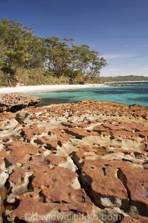 A.C.T.;ACT;aqua;aquamarine;Australasia;Australia;Australian-Capital-Territory;beach;beaches;blue;Booderee-N.P.;Booderee-National-Park;Booderee-NP;Bristol-Point;coast;coastal;coastline;coastlines;coasts;cobalt-blue;eucalypt;eucalypts;eucalyptus;eucalytis;foreshore;Green-Patch-Beach;Greenpatch-Beach;gum;gum-tree;gum-trees;gums;Jervis-Bay;Jervis-Bay-Territory;N.S.W.;New-South-Wales;NSW;ocean;oceans;rock-plaform;sand;sandy;sea;seas;shore;shoreline;shorelines;shores;South-New-South-Wales;Southern-New-South-Wales;tree;trees;turquoise;water