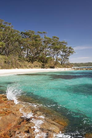 A.C.T.;ACT;aqua;aquamarine;Australasia;Australia;Australian-Capital-Territory;beach;beaches;blue;Booderee-N.P.;Booderee-National-Park;Booderee-NP;Bristol-Point;clean-water;clear-water;coast;coastal;coastline;coastlines;coasts;cobalt-blue;eucalypt;eucalypts;eucalyptus;eucalytis;foreshore;Green-Patch-Beach;Greenpatch-Beach;gum;gum-tree;gum-trees;gums;Jervis-Bay;Jervis-Bay-Territory;N.S.W.;New-South-Wales;NSW;ocean;oceans;rock;rocks;sand;sandy;sea;seas;shore;shoreline;shorelines;shores;South-New-South-Wales;Southern-New-South-Wales;splash;splashing;tree;trees;turquoise;water;wave;waves