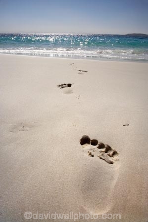 A.C.T.;ACT;Australasia;Australia;Australian-Capital-Territory;beach;beaches;Booderee-N.P.;Booderee-National-Park;Booderee-NP;coast;coastal;coastline;foot-print;foot-prints;footmark;footprint;footprints;Jervis-Bay;Jervis-Bay-Territory;Murrays-Beach;Murrays-Beach;N.S.W.;New-South-Wales;NSW;ocean;oceans;sand;sandy;sea;seas;shore;shoreline;South-New-South-Wales;Southern-New-South-Wales;toe-print;toe-prints