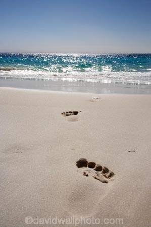 A.C.T.;ACT;Australasia;Australia;Australian-Capital-Territory;beach;beaches;Booderee-N.P.;Booderee-National-Park;Booderee-NP;coast;coastal;coastline;foot-print;foot-prints;footmark;footprint;footprints;Jervis-Bay;Jervis-Bay-Territory;Murrays-Beach;Murrays-Beach;N.S.W.;New-South-Wales;NSW;ocean;oceans;sand;sandy;sea;seas;shore;shoreline;South-New-South-Wales;Southern-New-South-Wales;toe-print;toe-prints