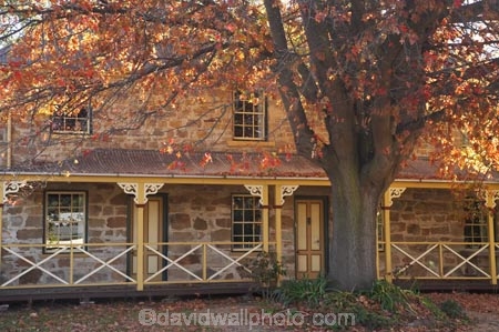 Australasia;Australia;autuminal;autumn;autumn-colour;autumn-colours;autumnal;building;buildings;Bungendore;color;colors;colour;colours;deciduous;fall;heritage;historic;historic-building;historic-buildings;historical;historical-building;historical-buildings;history;Kings-Highway;leaf;leaves;N.S.W.;New-South-Wales;NSW;oak;oak-tree;oak-trees;oaks;old;season;seasonal;seasons;South-New-South-Wales;Southern-New-South-Wales;tradition;traditional;tree;trees
