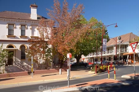 australasia;Australasian;Australia;australian;autuminal;autumn;autumn-colour;autumn-colours;autumnal;building;buildings;color;colors;colour;colours;deciduous;fall;heritage;historic;historic-building;historic-buildings;historical;historical-building;historical-buildings;history;leaf;leaves;N.S.W.;New-South-Wales;NSW;old;season;seasonal;seasons;Snowy-Mountains;Snowy-Mountains-Drive;South-New-South-Wales;Southern-New-South-Wales;town-centre;tradition;traditional;tree;trees;Tumut;Wynyard-St;Wynyard-Street