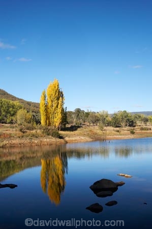 australasia;Australasian;Australia;australian;autuminal;autumn;autumn-colour;autumn-colours;autumnal;calm;color;colors;colour;colours;dam;dams;deciduous;fall;Jounama-Dam;Jounama-Pondage;Jounama-Reservoir;lake;lakes;leaf;leaves;N.S.W.;New-South-Wales;NSW;placid;poplar;poplar-tree;poplar-trees;poplars;quiet;reflection;reflections;reservoir;reservoirs;season;seasonal;seasons;serene;smooth;Snowy-Mountains;Snowy-Mountains-Drive;Snowy-Mountains-Highway;Snowy-Mountains-Hydro_Electric-Scheme;Snowy-Mountains-Scheme;South-New-South-Wales;Southern-New-South-Wales;still;Talbingo;tranquil;tree;trees;water