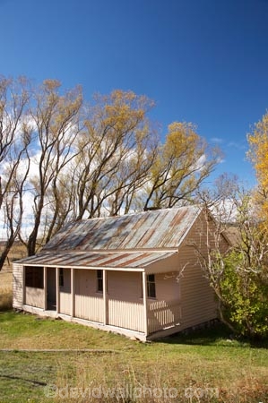 Abandoned;australasia;Australasian;Australia;australian;autuminal;autumn;autumn-colour;autumn-colours;autumnal;building;buildings;color;colors;colour;colours;cottage;cottages;deciduous;fall;ghost-town;ghost-towns;Gold-Rush-Town;goldminers-cottage;goldminers-cottage;heritage;historic;historic-building;historic-buildings;historical;historical-building;historical-buildings;history;house;houses;Kiandra;Kosciuszko-N.P.;Kosciuszko-National-Park;Kosciuszko-NP;leaf;leaves;Matthew-s-Cottage;Matthews-Cottage;miners-cottage;miners-cottages;N.S.W.;New-South-Wales;NSW;old;season;seasonal;seasons;Snowy-Mountains;Snowy-Mountains-Drive;Snowy-Mountains-Highway;Snowy-Mountains,;South-New-South-Wales;Southern-New-South-Wales;tradition;traditional;tree;trees