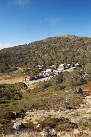 alpine;apartment;apartments;australasia;Australasian;Australia;australian;Charlotte-Pass;Charlotte-Pass-Ski-Resort;Charlotte-Pass-Village;Charlottes-Pass;Charlottes-Pass;eucalypt;eucalypts;eucalyptus;eucalytis;gum;gum-tree;gum-trees;gums;holiday;holiday-accommodation;holidays;hotel;hotels;Kosciuszko-N.P.;Kosciuszko-National-Park;Kosciuszko-NP;Kosciuszko-Rd;Kosciuszko-Road;mountains;N.S.W.;New-South-Wales;NSW;resort;resorts;ski-resorts;snow-gum;snow-gums;Snowy-Mountains;South-New-South-Wales;Southern-New-South-Wales;Summit-Rd;Summit-Road;The-Chalet;tree;trees;vacation;vacations;valley;valleys