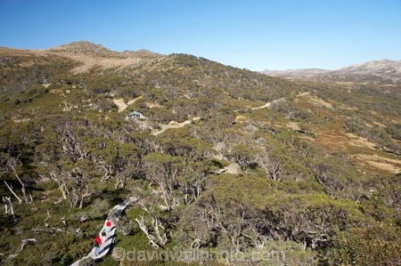 alpine;Australia;boy;boys;Charlotte-Pass;child;children;eucalypt;eucalypts;eucalyptus;eucalytis;families;family;girl;girls;gum;gum-tree;gum-trees;gums;Kangaroo-Ridge;Kosciuszko-N.P.;Kosciuszko-National-Park;Kosciuszko-NP;mountains;N.S.W.;New-South-Wales;NSW;people;person;snow-gum;snow-gums;Snow-Gums-Board-Walk;Snowy-Mountains;South-New-South-Wales;Southern-New-South-Wales;tourism;tourist;tourists;tree;trees;walker;walkers