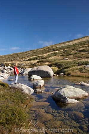 alpine;Australia;boulder;boulders;boy;boys;brook;brooks;child;children;creek;creeks;flow;Great-Dividing-Range;Kosciuszko-N.P.;Kosciuszko-National-Park;Kosciuszko-NP;Main-Range-Track;mountain-stream;mountain-streams;mountains;N.S.W.;New-South-Wales;NSW;people;person;rock;rocks;rocky;Snowy-Mountains;Snowy-River;South-New-South-Wales;Southern-New-South-Wales;stream;streams;valley;valleys;water;wet