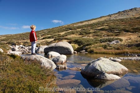 alpine;Australia;boulder;boulders;boy;boys;brook;brooks;child;children;creek;creeks;flow;Great-Dividing-Range;Kosciuszko-N.P.;Kosciuszko-National-Park;Kosciuszko-NP;Main-Range-Track;mountain-stream;mountain-streams;mountains;N.S.W.;New-South-Wales;NSW;people;person;rock;rocks;rocky;Snowy-Mountains;Snowy-River;South-New-South-Wales;Southern-New-South-Wales;stream;streams;valley;valleys;water;wet