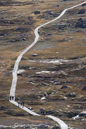 alpine;Australia;hike;hiking;hiking-track;hiking-tracks;Kosciuszko-N.P.;Kosciuszko-National-Park;Kosciuszko-NP;Kosciuszko-Track;Kosciuszko-Walk;Mount-Kosciuszko;mountains;Mt-Kosciuszko;Mt.-Kosciuszko;N.S.W.;New-South-Wales;NSW;Rams-Head-Range;Snowy-Mountains;Snowy-Mountains-Drive;South-New-South-Wales;Southern-New-South-Wales;track;tracks;tramping;trek;treking;trekking;walk;walking;walking-track;walking-tracks