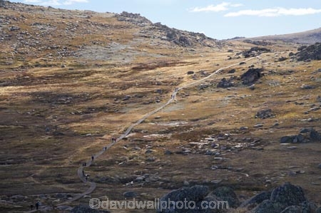 alpine;Australia;hike;hiking;hiking-track;hiking-tracks;Kosciuszko-N.P.;Kosciuszko-National-Park;Kosciuszko-NP;Kosciuszko-Track;Kosciuszko-Walk;Mount-Kosciuszko;mountains;Mt-Kosciuszko;Mt.-Kosciuszko;N.S.W.;New-South-Wales;NSW;Rams-Head-Range;Snowy-Mountains;Snowy-Mountains-Drive;South-New-South-Wales;Southern-New-South-Wales;track;tracks;tramping;trek;treking;trekking;walk;walking;walking-track;walking-tracks