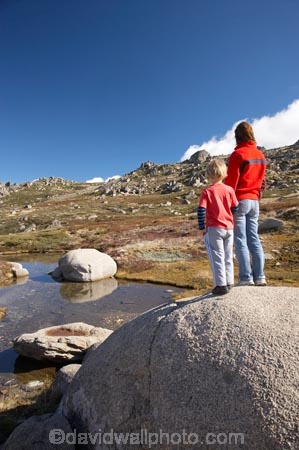 alpine;Australia;boulder;boulders;boy;boys;child;children;families;family;hike;hiker;hikers;hiking;kid;kids;Kosciuszko-N.P.;Kosciuszko-National-Park;Kosciuszko-NP;Kosciuszko-Walk;little-boy;mother;mothers;mountain-stream;mountain-streams;mountains;N.S.W.;New-South-Wales;North-Rams-Head;NSW;people;person;pond;ponds;pool;pools;Rams-Head-Range;rock;rocks;rocky;small-boys;Small-Mountain-Tarn;Snowy-Mountains;Snowy-Mountains-Drive;South-New-South-Wales;Southern-New-South-Wales;tramp;tramper;trampers;tramping;trek;treker;trekers;treking;trekker;trekkers;trekking;walk;walker;walkers;walking