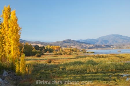 Alpine-Way;Australia;autuminal;autumn;autumn-colour;autumn-colours;autumnal;color;colors;colour;colours;dam;dams;deciduous;fall;Khancoban;Khancoban-Dam;Khancoban-Pondage;Khancoban-Reservoir;lake;lakes;leaf;leaves;N.S.W.;New-South-Wales;NSW;pondage;poplar;poplar-tree;poplar-trees;poplars;reservoir;reservoirs;season;seasonal;seasons;Snowy-Mountains;Snowy-Mountains-Drive;South-New-South-Wales;Southern-New-South-Wales;tree;trees