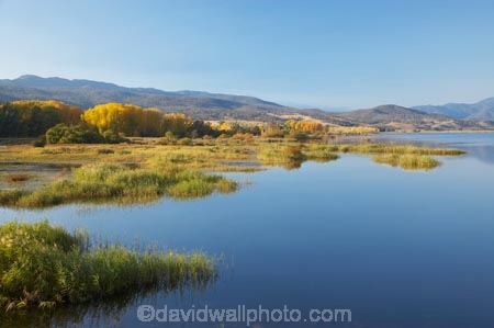 Alpine-Way;Australia;autuminal;autumn;autumn-colour;autumn-colours;autumnal;calm;color;colors;colour;colours;dam;dams;deciduous;fall;Khancoban;Khancoban-Dam;Khancoban-Pondage;Khancoban-Reservoir;lake;lakes;leaf;leaves;N.S.W.;New-South-Wales;NSW;placid;pondage;quiet;reflection;reflections;reservoir;reservoirs;season;seasonal;seasons;serene;smooth;Snowy-Mountains;Snowy-Mountains-Drive;Snowy-Mountains-Hydro_Electric-Scheme;Snowy-Mountains-Scheme;South-New-South-Wales;Southern-New-South-Wales;still;tranquil;tree;trees;water