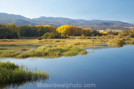 Alpine-Way;Australia;autuminal;autumn;autumn-colour;autumn-colours;autumnal;calm;color;colors;colour;colours;dam;dams;deciduous;fall;Khancoban;Khancoban-Dam;Khancoban-Pondage;Khancoban-Reservoir;lake;lakes;leaf;leaves;N.S.W.;New-South-Wales;NSW;placid;pondage;quiet;reflection;reflections;reservoir;reservoirs;season;seasonal;seasons;serene;smooth;Snowy-Mountains;Snowy-Mountains-Drive;Snowy-Mountains-Hydro_Electric-Scheme;Snowy-Mountains-Scheme;South-New-South-Wales;Southern-New-South-Wales;still;tranquil;tree;trees;water