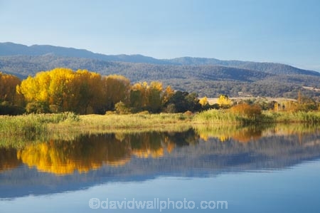 Alpine-Way;Australia;autuminal;autumn;autumn-colour;autumn-colours;autumnal;calm;color;colors;colour;colours;dam;dams;deciduous;fall;Khancoban;Khancoban-Dam;Khancoban-Pondage;Khancoban-Reservoir;lake;lakes;leaf;leaves;N.S.W.;New-South-Wales;NSW;placid;pondage;quiet;reflection;reflections;reservoir;reservoirs;season;seasonal;seasons;serene;smooth;Snowy-Mountains;Snowy-Mountains-Drive;Snowy-Mountains-Hydro_Electric-Scheme;Snowy-Mountains-Scheme;South-New-South-Wales;Southern-New-South-Wales;still;tranquil;tree;trees;water