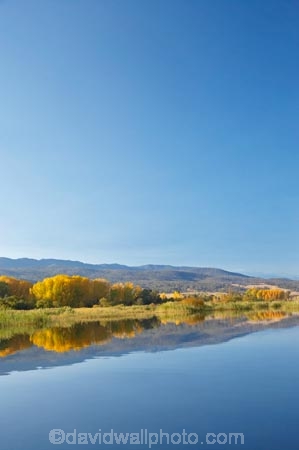Alpine-Way;Australia;autuminal;autumn;autumn-colour;autumn-colours;autumnal;calm;color;colors;colour;colours;dam;dams;deciduous;fall;Khancoban;Khancoban-Dam;Khancoban-Pondage;Khancoban-Reservoir;lake;lakes;leaf;leaves;N.S.W.;New-South-Wales;NSW;placid;pondage;quiet;reflection;reflections;reservoir;reservoirs;season;seasonal;seasons;serene;smooth;Snowy-Mountains;Snowy-Mountains-Drive;Snowy-Mountains-Hydro_Electric-Scheme;Snowy-Mountains-Scheme;South-New-South-Wales;Southern-New-South-Wales;still;tranquil;tree;trees;water