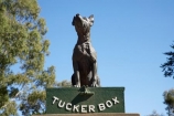 australasia;Australasian;Australia;australian;Dog-on-the-Tucker-Box;Dog-on-the-Tucker-Box-Statue;Dog-on-the-Tuckerbox;Dog-on-the-Tuckerbox-Statue;Gundagai;memorial;memorials;N.S.W.;New-South-Wales;NSW;South-New-South-Wales;South-West-Slopes;Southern-New-South-Wales;statue;statues