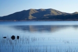 australasia;Australasian;Australia;australian;Blowering-Dam;Blowering-Reservoir;dam;dams;lake;lakes;N.S.W.;New-South-Wales;NSW;reed;reeds;reservoir;reservoirs;Snowy-Mountains;Snowy-Mountains-Drive;Snowy-Mountains-Hydro_Electric-Scheme;Snowy-Mountains-Scheme;South-New-South-Wales;Southern-New-South-Wales;water