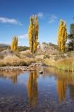 australasia;Australasian;Australia;australian;autuminal;autumn;autumn-colour;autumn-colours;autumnal;brook;brooks;calm;color;colors;colour;colours;creek;creeks;deciduous;fall;flow;Kosciuszko-N.P.;Kosciuszko-National-Park;Kosciuszko-NP;leaf;leaves;N.S.W.;New-South-Wales;NSW;placid;poplar;poplar-tree;poplar-trees;poplars;quiet;reflection;reflections;river;rivers;season;seasonal;seasons;serene;smooth;Snowy-Mountains;Snowy-Mountains-Drive;Snowy-Mountains-Highway;South-New-South-Wales;Southern-New-South-Wales;still;stream;streams;tranquil;tree;trees;water;wet;Yarrangobilly-River;Yarrangobilly-Village