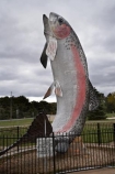 Adaminaby;australasia;Australasian;Australia;australian;big-things;icon;icons;N.S.W.;New-South-Wales;NSW;rainbow-trout;sculpture;sculptures;Snowy-Mountains;Snowy-Mountains-Drive;Snowy-Mountains-Highway;South-New-South-Wales;Southern-New-South-Wales;statue;statues;The-Big-Trout