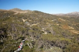 alpine;Australia;boy;boys;Charlotte-Pass;child;children;eucalypt;eucalypts;eucalyptus;eucalytis;families;family;girl;girls;gum;gum-tree;gum-trees;gums;Kangaroo-Ridge;Kosciuszko-N.P.;Kosciuszko-National-Park;Kosciuszko-NP;mountains;N.S.W.;New-South-Wales;NSW;people;person;snow-gum;snow-gums;Snow-Gums-Board-Walk;Snowy-Mountains;South-New-South-Wales;Southern-New-South-Wales;tourism;tourist;tourists;tree;trees;walker;walkers