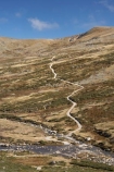 alpine;Australia;brook;brooks;creek;creeks;flow;Great-Dividing-Range;Kosciuszko-N.P.;Kosciuszko-National-Park;Kosciuszko-NP;Main-Range-Track;mountains;N.S.W.;New-South-Wales;NSW;Snowy-Mountains;Snowy-River;South-New-South-Wales;Southern-New-South-Wales;stream;streams;valley;valleys;water;wet