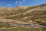 alpine;Australia;brook;brooks;creek;creeks;flow;Great-Dividing-Range;Kosciuszko-N.P.;Kosciuszko-National-Park;Kosciuszko-NP;Main-Range-Track;mountains;N.S.W.;New-South-Wales;NSW;Snowy-Mountains;Snowy-River;South-New-South-Wales;Southern-New-South-Wales;stream;streams;valley;valleys;water;wet