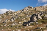 alpine;Australia;geological;geology;Kosciuszko-N.P.;Kosciuszko-National-Park;Kosciuszko-NP;Kosciuszko-Walk;mountains;N.S.W.;New-South-Wales;North-Rams-Head;NSW;Rams-Head-Range;rock;rock-formation;rock-formations;rock-outcrop;Rock-Outcrops;rock-tor;rock-torr;rock-torrs;rock-tors;rocks;Snowy-Mountains;Snowy-Mountains-Drive;South-New-South-Wales;Southern-New-South-Wales;stone