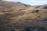 alpine;Australia;hike;hiking;hiking-track;hiking-tracks;Kosciuszko-N.P.;Kosciuszko-National-Park;Kosciuszko-NP;Kosciuszko-Track;Kosciuszko-Walk;Mount-Kosciuszko;mountains;Mt-Kosciuszko;Mt.-Kosciuszko;N.S.W.;New-South-Wales;NSW;Rams-Head-Range;Snowy-Mountains;Snowy-Mountains-Drive;South-New-South-Wales;Southern-New-South-Wales;track;tracks;tramping;trek;treking;trekking;walk;walking;walking-track;walking-tracks