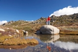 alpine;Australia;boulder;boulders;boy;boys;calm;child;children;families;family;hike;hiker;hikers;hiking;kid;kids;Kosciuszko-N.P.;Kosciuszko-National-Park;Kosciuszko-NP;Kosciuszko-Walk;little-boy;mother;mothers;mountain-stream;mountain-streams;mountains;N.S.W.;New-South-Wales;North-Rams-Head;NSW;people;person;placid;pond;ponds;pool;pools;quiet;Rams-Head-Range;reflection;reflections;rock;rocks;rocky;serene;small-boys;Small-Mountain-Tarn;smooth;Snowy-Mountains;Snowy-Mountains-Drive;South-New-South-Wales;Southern-New-South-Wales;still;tramp;tramper;trampers;tramping;tranquil;trek;treker;trekers;treking;trekker;trekkers;trekking;walk;walker;walkers;walking;water