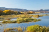 Alpine-Way;Australia;autuminal;autumn;autumn-colour;autumn-colours;autumnal;color;colors;colour;colours;dam;dams;deciduous;fall;Khancoban;Khancoban-Dam;Khancoban-Pondage;Khancoban-Reservoir;lake;lakes;leaf;leaves;N.S.W.;New-South-Wales;NSW;pondage;reservoir;reservoirs;season;seasonal;seasons;Snowy-Mountains;Snowy-Mountains-Drive;Snowy-Mountains-Hydro_Electric-Scheme;Snowy-Mountains-Scheme;South-New-South-Wales;Southern-New-South-Wales;tree;trees;water