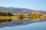 Alpine-Way;Australia;autuminal;autumn;autumn-colour;autumn-colours;autumnal;calm;color;colors;colour;colours;dam;dams;deciduous;fall;Khancoban;Khancoban-Dam;Khancoban-Pondage;Khancoban-Reservoir;lake;lakes;leaf;leaves;N.S.W.;New-South-Wales;NSW;placid;pondage;quiet;reflection;reflections;reservoir;reservoirs;season;seasonal;seasons;serene;smooth;Snowy-Mountains;Snowy-Mountains-Drive;Snowy-Mountains-Hydro_Electric-Scheme;Snowy-Mountains-Scheme;South-New-South-Wales;Southern-New-South-Wales;still;tranquil;tree;trees;water