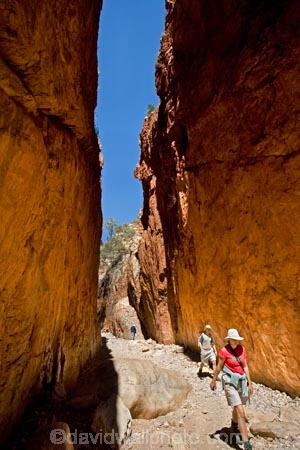 Alice-Springs;Australasia;Australia;Australian;Australian-Outback;canyon;canyons;Central-Australia;chasm;chasms;gorge;gorges;N.T.;Northern-Territory;NT;Outback;red;rock;slot-canyon;slot-canyons;Standley-Canyon;Standley-Gorge;Standlley-Chasm;tourism;tourist;tourists;travel;West-MacDonnell-N.P.;West-MacDonnell-National-Park;West-MacDonnell-NP;West-MacDonnell-Ranges;West-MacDonnells-N.P.;West-MacDonnells-National-Park;West-MacDonnells-NP;West-Macs