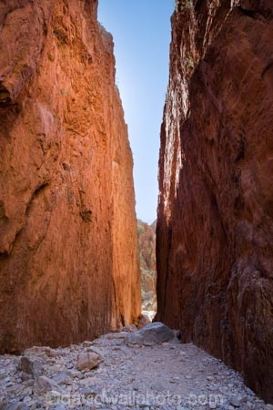 Alice-Springs;Australasia;Australia;Australian;Australian-Outback;canyon;canyons;Central-Australia;chasm;chasms;gorge;gorges;N.T.;Northern-Territory;NT;Outback;red;rock;slot-canyon;slot-canyons;Standley-Canyon;Standley-Gorge;Standlley-Chasm;tourism;tourist;tourists;travel;West-MacDonnell-N.P.;West-MacDonnell-National-Park;West-MacDonnell-NP;West-MacDonnell-Ranges;West-MacDonnells-N.P.;West-MacDonnells-National-Park;West-MacDonnells-NP;West-Macs