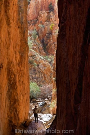 Alice-Springs;Australasia;Australia;Australian;Australian-Outback;canyon;canyons;Central-Australia;chasm;chasms;gorge;gorges;N.T.;Northern-Territory;NT;Outback;red;rock;slot-canyon;slot-canyons;Standley-Canyon;Standley-Gorge;Standlley-Chasm;tourism;tourist;tourists;travel;West-MacDonnell-N.P.;West-MacDonnell-National-Park;West-MacDonnell-NP;West-MacDonnell-Ranges;West-MacDonnells-N.P.;West-MacDonnells-National-Park;West-MacDonnells-NP;West-Macs