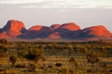 Anugu;arid;Australasia;Australia;Australian;Australian-Desert;Australian-Deserts;back-country;backcountry;dawn;Desert;Deserts;early-light;Kata-Tjuta;N.T.;National-Park;National-Parks;Northern-Territory;NT;Outback;red-centre;The-Outback;Uluru-_-Kata-Tjuta-National-Park;Uluru-_-Kata-Tjuta-World-Heritage-Area;UNESCO;Unesco-world-heritage-area;World-Heritage-Area;World-Heritage-Areas