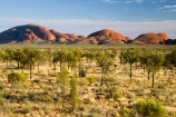 Anugu;arid;Australasia;Australia;Australian;Australian-Desert;Australian-Deserts;back-country;backcountry;Desert;Deserts;Kata-Tjuta;N.T.;National-Park;National-Parks;Northern-Territory;NT;Outback;red-centre;The-Outback;Uluru-_-Kata-Tjuta-National-Park;Uluru-_-Kata-Tjuta-World-Heritage-Area;UNESCO;Unesco-world-heritage-area;World-Heritage-Area;World-Heritage-Areas