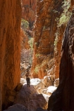 Alice-Springs;Australasia;Australia;Australian;Australian-Outback;canyon;canyons;Central-Australia;chasm;chasms;gorge;gorges;N.T.;Northern-Territory;NT;Outback;red;rock;slot-canyon;slot-canyons;Standley-Canyon;Standley-Gorge;Standlley-Chasm;tourism;tourist;tourists;travel;West-MacDonnell-N.P.;West-MacDonnell-National-Park;West-MacDonnell-NP;West-MacDonnell-Ranges;West-MacDonnells-N.P.;West-MacDonnells-National-Park;West-MacDonnells-NP;West-Macs