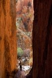 Alice-Springs;Australasia;Australia;Australian;Australian-Outback;canyon;canyons;Central-Australia;chasm;chasms;gorge;gorges;N.T.;Northern-Territory;NT;Outback;red;rock;slot-canyon;slot-canyons;Standley-Canyon;Standley-Gorge;Standlley-Chasm;tourism;tourist;tourists;travel;West-MacDonnell-N.P.;West-MacDonnell-National-Park;West-MacDonnell-NP;West-MacDonnell-Ranges;West-MacDonnells-N.P.;West-MacDonnells-National-Park;West-MacDonnells-NP;West-Macs