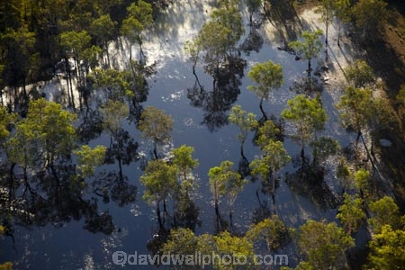 aerial;aerial-photo;aerial-photograph;aerial-photographs;aerial-photography;aerial-photos;aerial-view;aerial-views;aerials;Australia;Australian;billabong;billabongs;eucalypt;eucalypts;eucalyptus;eucalytis;flood-plain;flood-plains;floodplain;floodplains;Gagadju;gum;gum-tree;gum-trees;gums;Kakadu;Kakadu-N.P.;Kakadu-National-Park;Kakadu-NP;N.T.;Northern-Territory;NT;Top-End;tree;trees;UN-world-heritage-area;UN-world-heritage-site;UNESCO-World-Heritage-area;UNESCO-World-Heritage-Site;united-nations-world-heritage-area;united-nations-world-heritage-site;wetland;wetlands;wilderness;wilderness-area;wilderness-areas;world-heritage;world-heritage-area;world-heritage-areas;World-Heritage-Park;World-Heritage-site;World-Heritage-Sites
