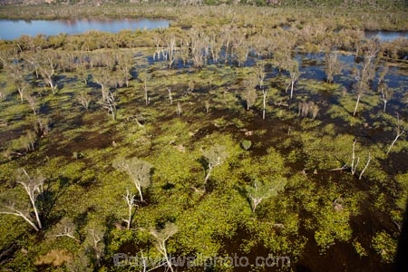 aerial;aerial-photo;aerial-photograph;aerial-photographs;aerial-photography;aerial-photos;aerial-view;aerial-views;aerials;Arnhem-Land;Australia;Australian;billabong;billabongs;East-Alligator-River;flood-plain;flood-plains;floodplain;floodplains;Gagadju;Kakadu;Kakadu-billabong;Kakadu-billabongs;Kakadu-flood-plain;Kakadu-flood-plains;Kakadu-floodplain;Kakadu-floodplains;Kakadu-N.P.;Kakadu-National-Park;Kakadu-NP;Kakadu-wetland;Kakadu-wetlands;Mikinj-Valley;N.T.;Northern-Territory;NT;rainy-season;seasonal;Top-End;UN-world-heritage-area;UN-world-heritage-site;UNESCO-World-Heritage-area;UNESCO-World-Heritage-Site;united-nations-world-heritage-area;united-nations-world-heritage-site;wet-season;wetland;wetlands;wilderness;wilderness-area;wilderness-areas;world-heritage;world-heritage-area;world-heritage-areas;World-Heritage-Park;World-Heritage-site;World-Heritage-Sites