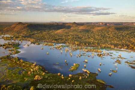 aerial;aerial-photo;aerial-photograph;aerial-photographs;aerial-photography;aerial-photos;aerial-view;aerial-views;aerials;Australia;Australian;billabong;billabongs;flood-plain;flood-plains;floodplain;floodplains;Gagadju;Kakadu;Kakadu-billabong;Kakadu-billabongs;Kakadu-flood-plain;Kakadu-flood-plains;Kakadu-floodplain;Kakadu-floodplains;Kakadu-N.P.;Kakadu-National-Park;Kakadu-NP;Kakadu-wetland;Kakadu-wetlands;Magela-Creek;Magela-Creek-System;Magela-Creek-Wetlands;Magela-Wetlands;N.T.;Northern-Territory;NT;rainy-season;seasonal;Top-End;UN-world-heritage-area;UN-world-heritage-site;UNESCO-World-Heritage-area;UNESCO-World-Heritage-Site;united-nations-world-heritage-area;united-nations-world-heritage-site;wet-season;wetland;wetlands;wilderness;wilderness-area;wilderness-areas;world-heritage;world-heritage-area;world-heritage-areas;World-Heritage-Park;World-Heritage-site;World-Heritage-Sites