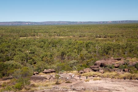 Anbangbang;Anbangbang-Billabong;Australia;Australian;bush;Gagadju;Kakadu;Kakadu-N.P.;Kakadu-National-Park;Kakadu-NP;N.T.;Nawurlandja-Lookout;Northern-Territory;Nourlangie;NT;people;person;Top-End;tourism;tourist;tourists;UN-world-heritage-area;UN-world-heritage-site;UNESCO-World-Heritage-area;UNESCO-World-Heritage-Site;united-nations-world-heritage-area;united-nations-world-heritage-site;world-heritage;world-heritage-area;world-heritage-areas;World-Heritage-Park;World-Heritage-site;World-Heritage-Sites
