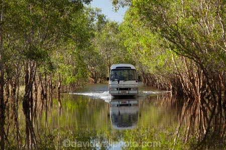Australia;Australian;billabong;billabongs;bus;buses;calm;coach;coaches;flood-plain;flood-plains;flooded-road;flooded-roads;flooding;floodplain;floodplains;Gagadju;Gagudju-Dreaming;Kakadu;Kakadu-billabong;Kakadu-billabongs;Kakadu-flood-plain;Kakadu-flood-plains;Kakadu-floodplain;Kakadu-floodplains;Kakadu-N.P.;Kakadu-National-Park;Kakadu-NP;Kakadu-wetland;Kakadu-wetlands;N.T.;Northern-Territory;NT;placid;quiet;reflection;reflections;road-conditions;serene;smooth;still;Top-End;tour-bus;tour-buses;touring;tourism;tourist;tourist-bus;tourist-buses;tourist-coach;tourist-coaches;tourists;tranquil;UN-world-heritage-area;UN-world-heritage-site;UNESCO-World-Heritage-area;UNESCO-World-Heritage-Site;united-nations-world-heritage-area;united-nations-world-heritage-site;water;wet-season;wetland;wetlands;world-heritage;world-heritage-area;world-heritage-areas;World-Heritage-Park;World-Heritage-site;World-Heritage-Sites;Yellow-Water;Yellow-Water-Billabong;Yellow-Water-Cruises-bus;Yellow-Water-Wetland;Yellow-Water-Wetlands