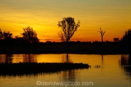 Australia;Australian;billabong;billabongs;calm;dusk;evening;flood-plain;flood-plains;floodplain;floodplains;Gagadju;Gagudju-Dreaming;Kakadu;Kakadu-billabong;Kakadu-billabongs;Kakadu-flood-plain;Kakadu-flood-plains;Kakadu-floodplain;Kakadu-floodplains;Kakadu-N.P.;Kakadu-National-Park;Kakadu-NP;Kakadu-wetland;Kakadu-wetlands;N.T.;nightfall;Northern-Territory;NT;orange;placid;quiet;reflection;reflections;serene;sky;smooth;still;sunset;sunsets;Top-End;tranquil;twilight;UN-world-heritage-area;UN-world-heritage-site;UNESCO-World-Heritage-area;UNESCO-World-Heritage-Site;united-nations-world-heritage-area;united-nations-world-heritage-site;water;wetland;wetlands;wilderness;wilderness-area;wilderness-areas;world-heritage;world-heritage-area;world-heritage-areas;World-Heritage-Park;World-Heritage-site;World-Heritage-Sites;Yellow-Water;Yellow-Water-Billabong;Yellow-Water-Wetland;Yellow-Water-Wetlands