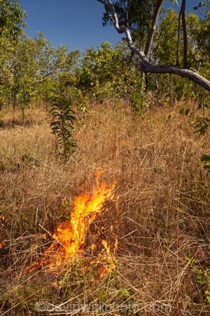 alight;Australia;Australian;burn;burned;burning;burnoff;burnoffs;burns;burnt;bush-fire;bush-fires;danger;dangerous;destruction;fire;fires;flamable;flame;flames;flaming;forest-fire;forest-fires;Gagadju;grass-fire;grass-fires;heat;hot;Kakadu;Kakadu-N.P.;Kakadu-National-Park;Kakadu-NP;N.T.;Northern-Territory;NT;on-fire;orange;Top-End;UN-world-heritage-area;UN-world-heritage-site;UNESCO-World-Heritage-area;UNESCO-World-Heritage-Site;united-nations-world-heritage-area;united-nations-world-heritage-site;wild-fire;wild-fires;wildfire;wildfires;world-heritage;world-heritage-area;world-heritage-areas;World-Heritage-Park;World-Heritage-site;World-Heritage-Sites